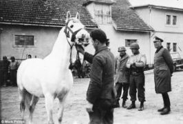 Vzpomínkové akty na Domažlicku odstartovaly týden oslav osvobození v&nbsp;Plzeňském kraji