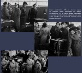 Mázhauz plzeňské radnice hostí výstavu o&nbsp;ošetřovatelkách ve Velké Británii v&nbsp;letech 1939 až 1945