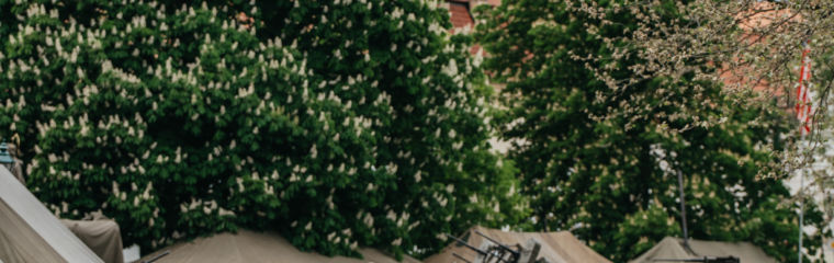 Členové klubů vojenské historie po&nbsp;tři dny žijí jako vojáci v&nbsp;roce 1945